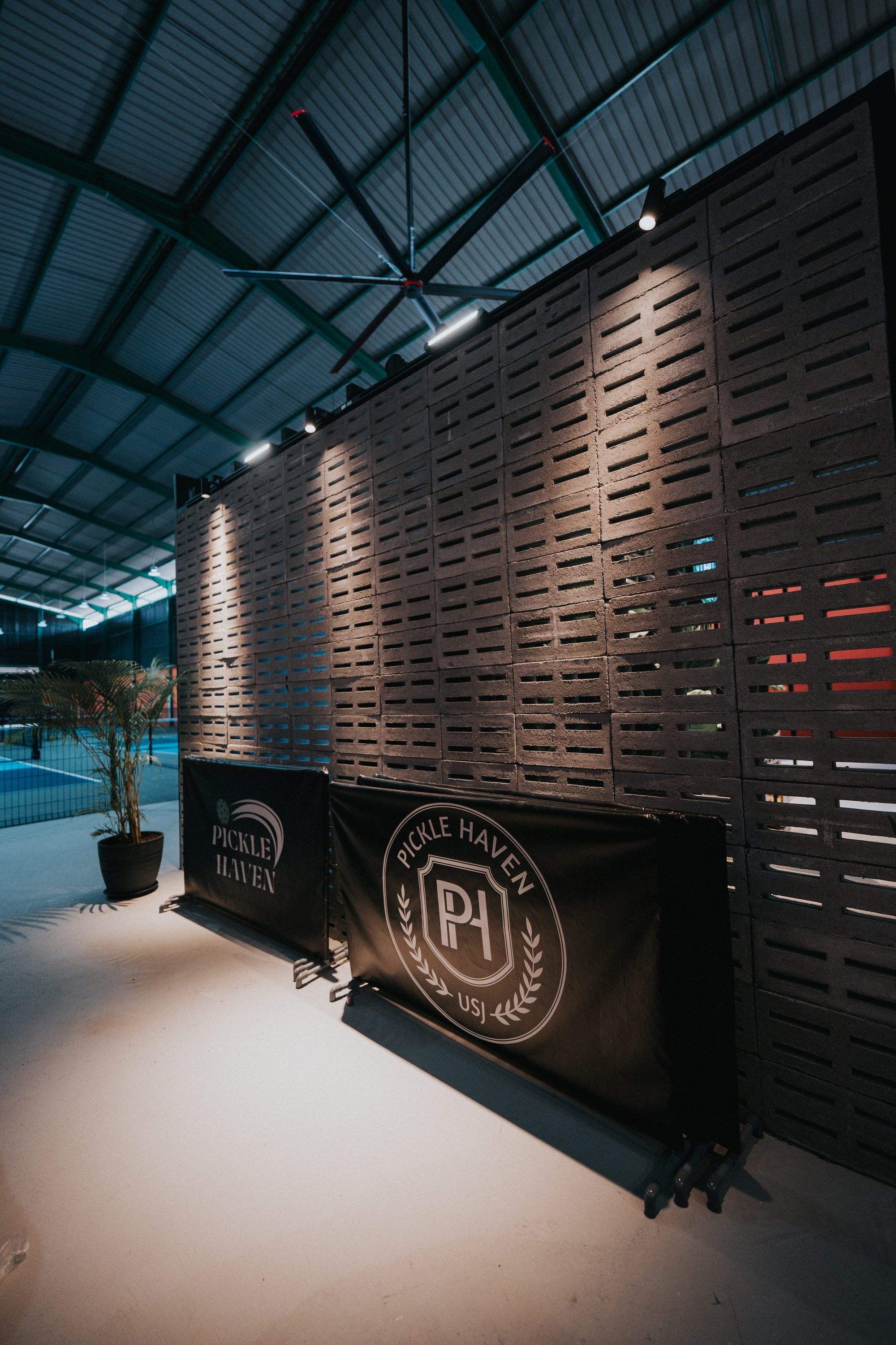 Twin pickleball courts